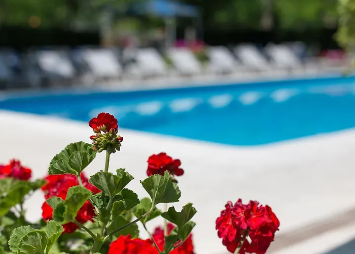 Gioiello 3* Чезенатико