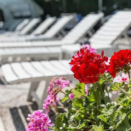 Ξενοδοχείο Gioiello Cesenatico