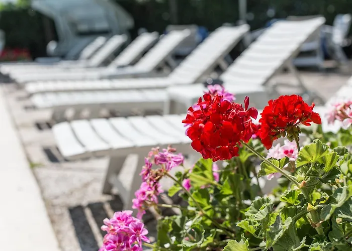 酒店 吉耶洛酒店 切塞纳蒂科